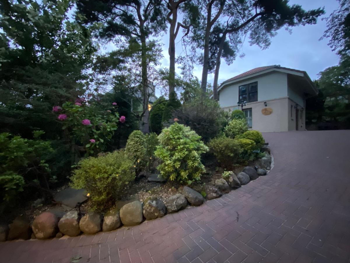 Ailim House Serviced Cottage Escape, Around The Corner From The Old Course St Andrews Zewnętrze zdjęcie