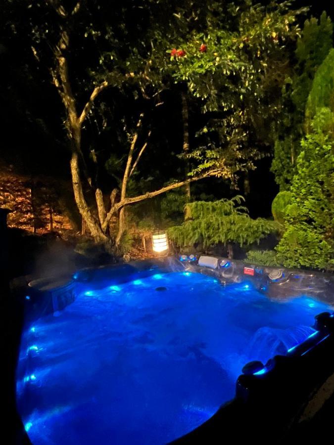 Ailim House Serviced Cottage Escape, Around The Corner From The Old Course St Andrews Zewnętrze zdjęcie